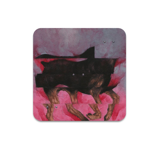 S10 Dusty Ray - Coaster 3