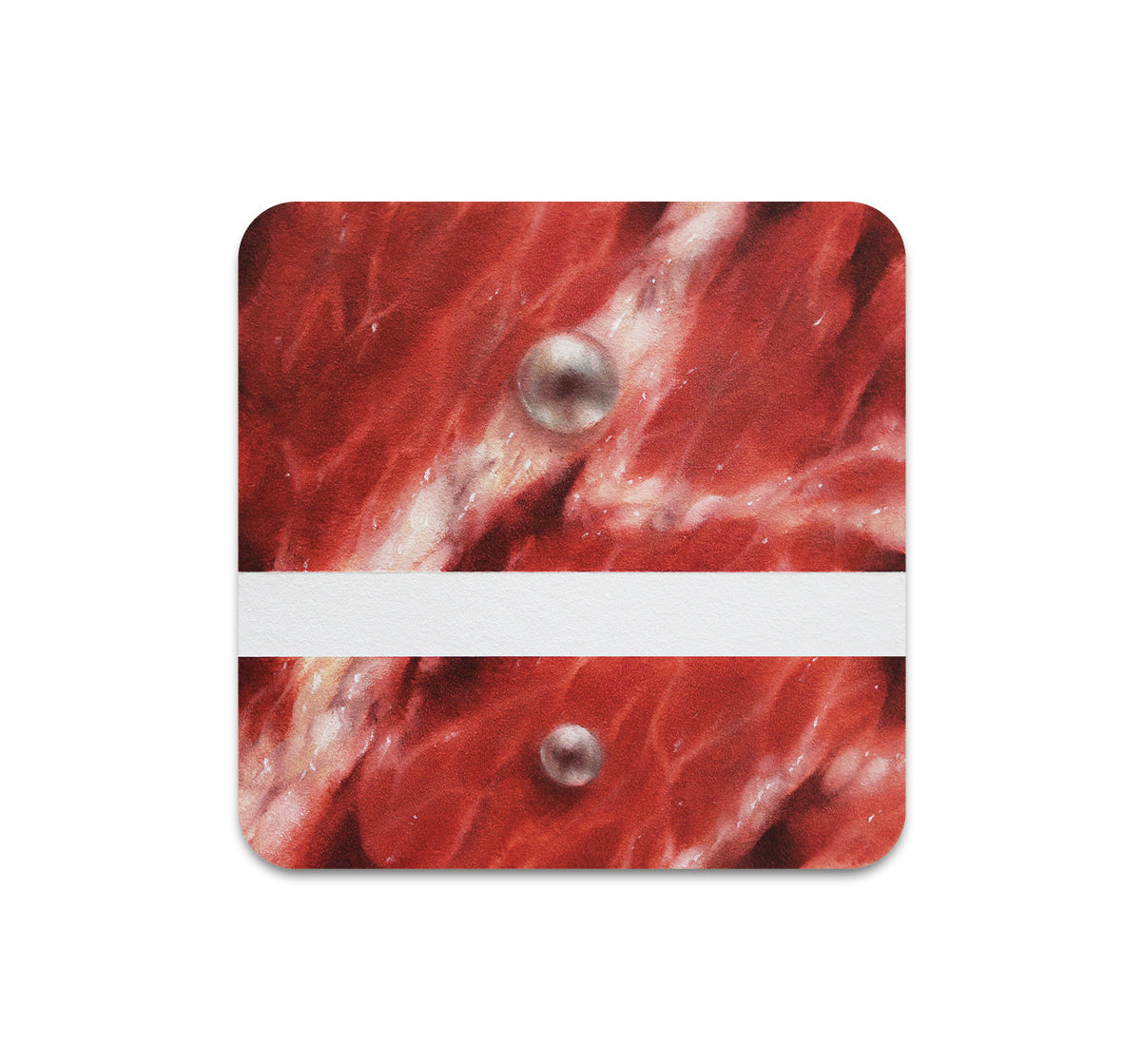 S10 Dusty Ray - Coaster 4