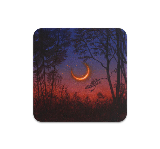 S10 Eli McMullen - Coaster 2