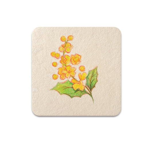 S10 Grey Chen - Coaster 1