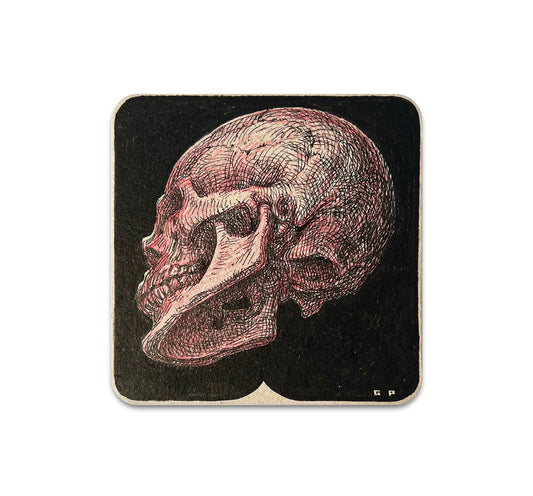 S10 Guno Park - Coaster 2