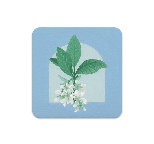 S10 Heather Lee Birdsong - Coaster 2