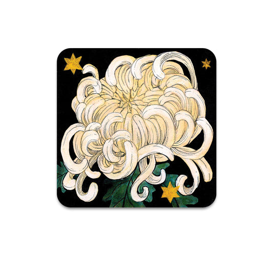 S10 HookieDuke - Coaster 2