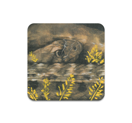 S10 James Thistlethwaite - Coaster 4