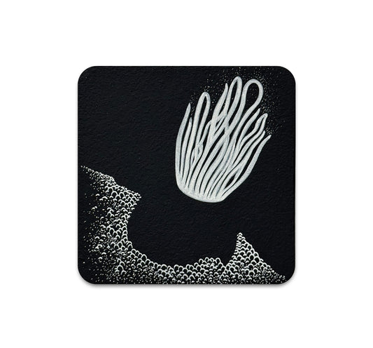 S10 Jeff Sheridan - Coaster 3