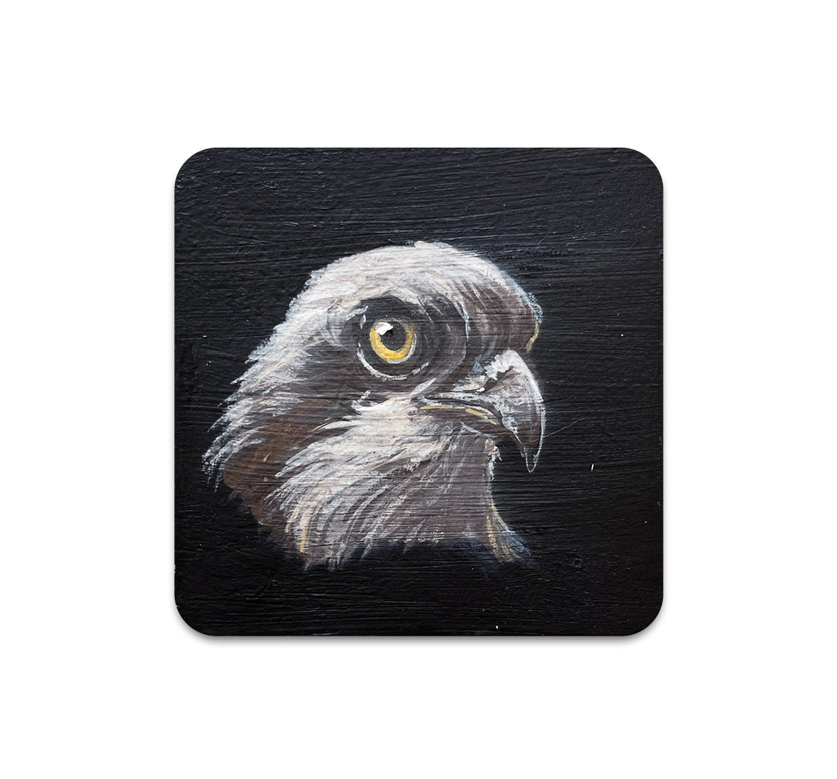 S10 Jenn Joslin - Coaster 2