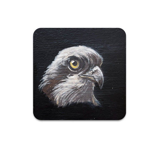 S10 Jenn Joslin - Coaster 2