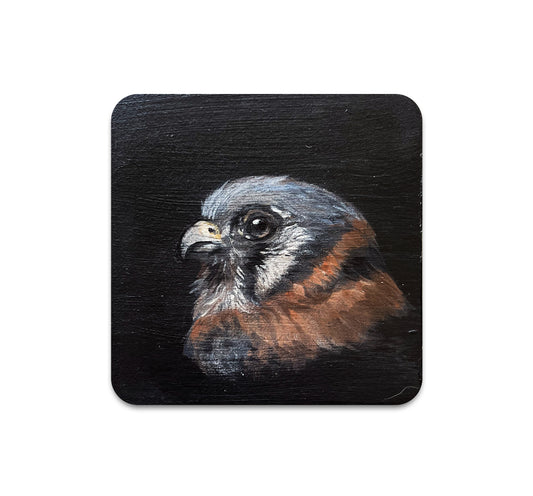 S10 Jenn Joslin - Coaster 3