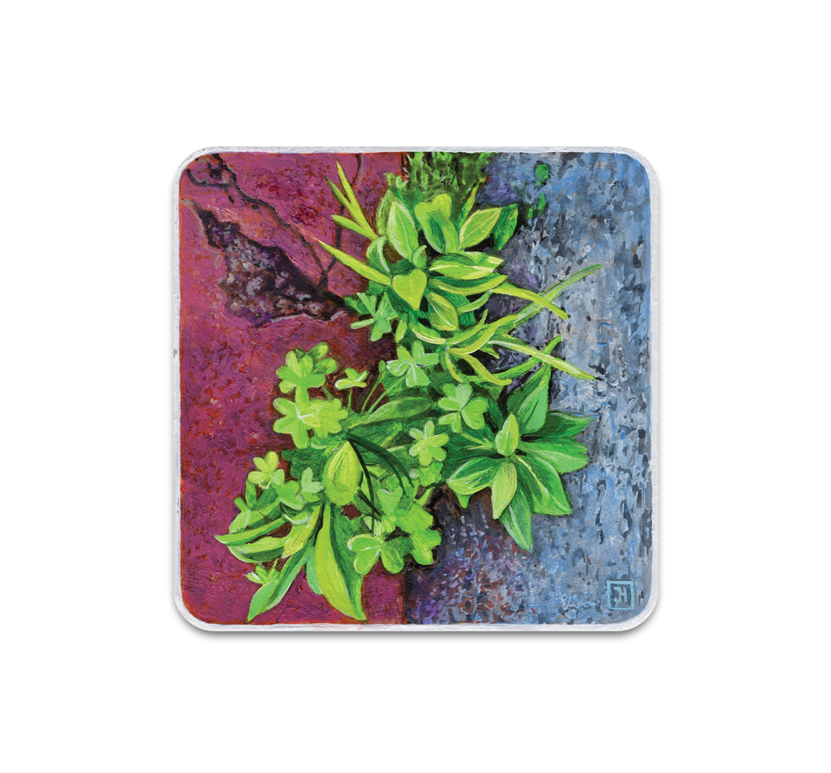 S10 Jessica Hess - Coaster 3