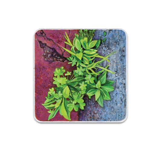 S10 Jessica Hess - Coaster 3