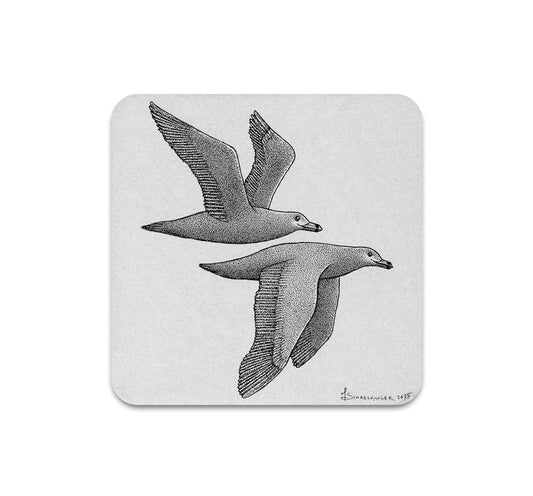 S10 Juliet Schreckinger - Coaster 1