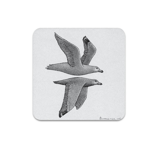 S10 Juliet Schreckinger - Coaster 3