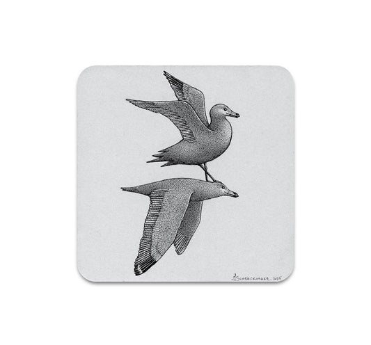 S10 Juliet Schreckinger - Coaster 5