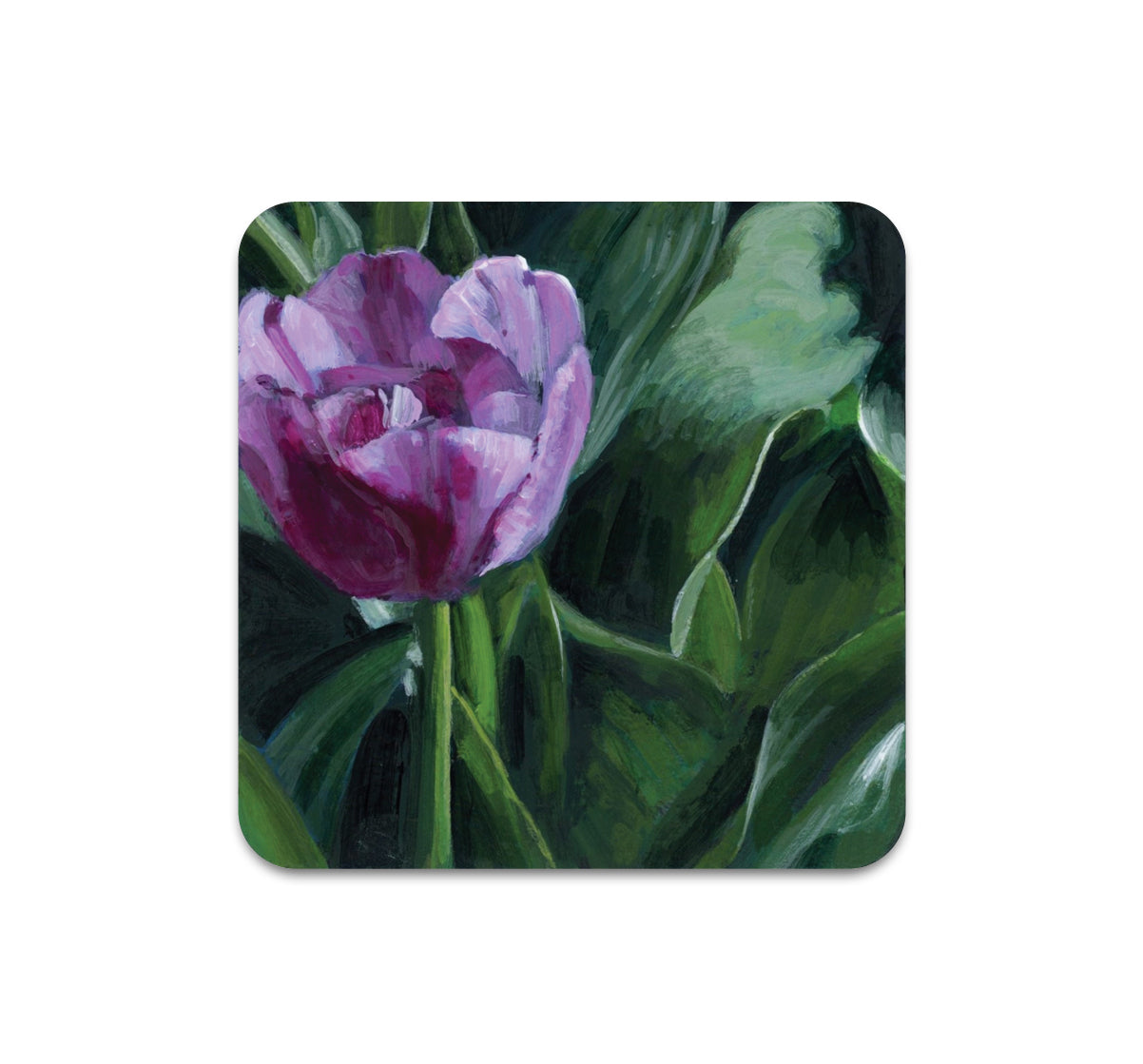 S10 Kaetlyn Able - Coaster 2