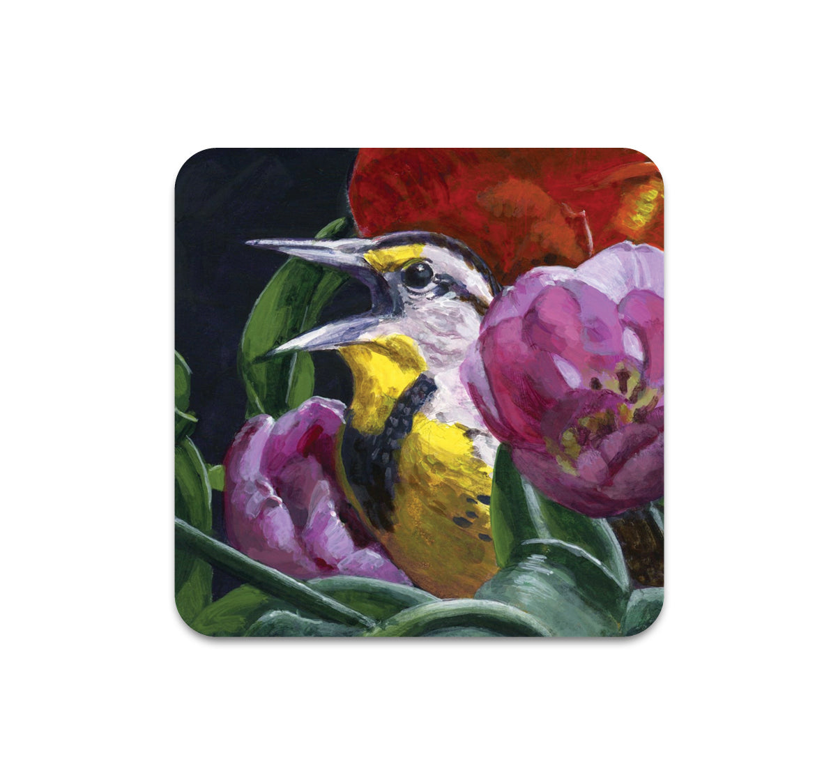 S10 Kaetlyn Able - Coaster 3