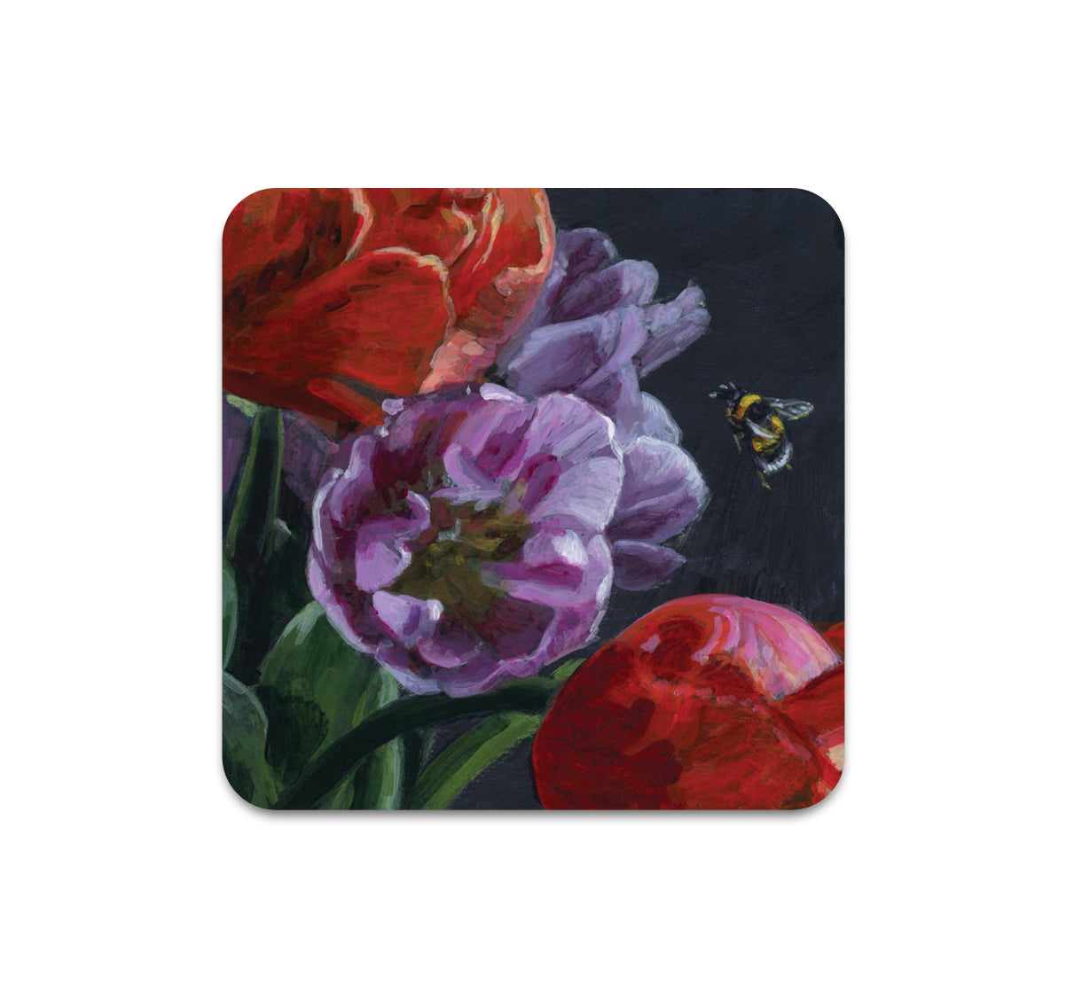 S10 Kaetlyn Able - Coaster 4