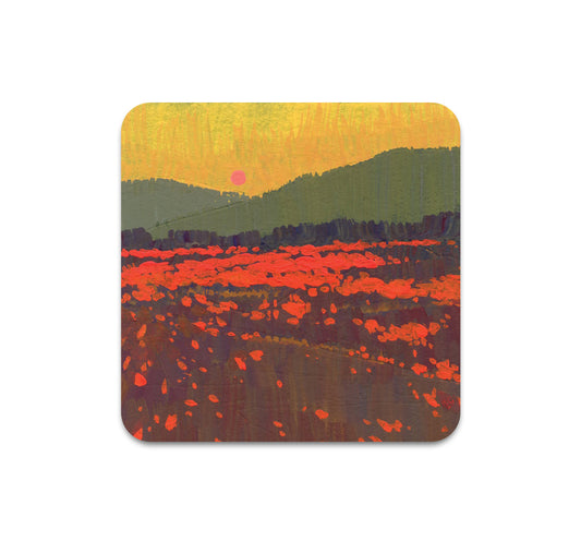 S10 Kate Liu - Coaster 4