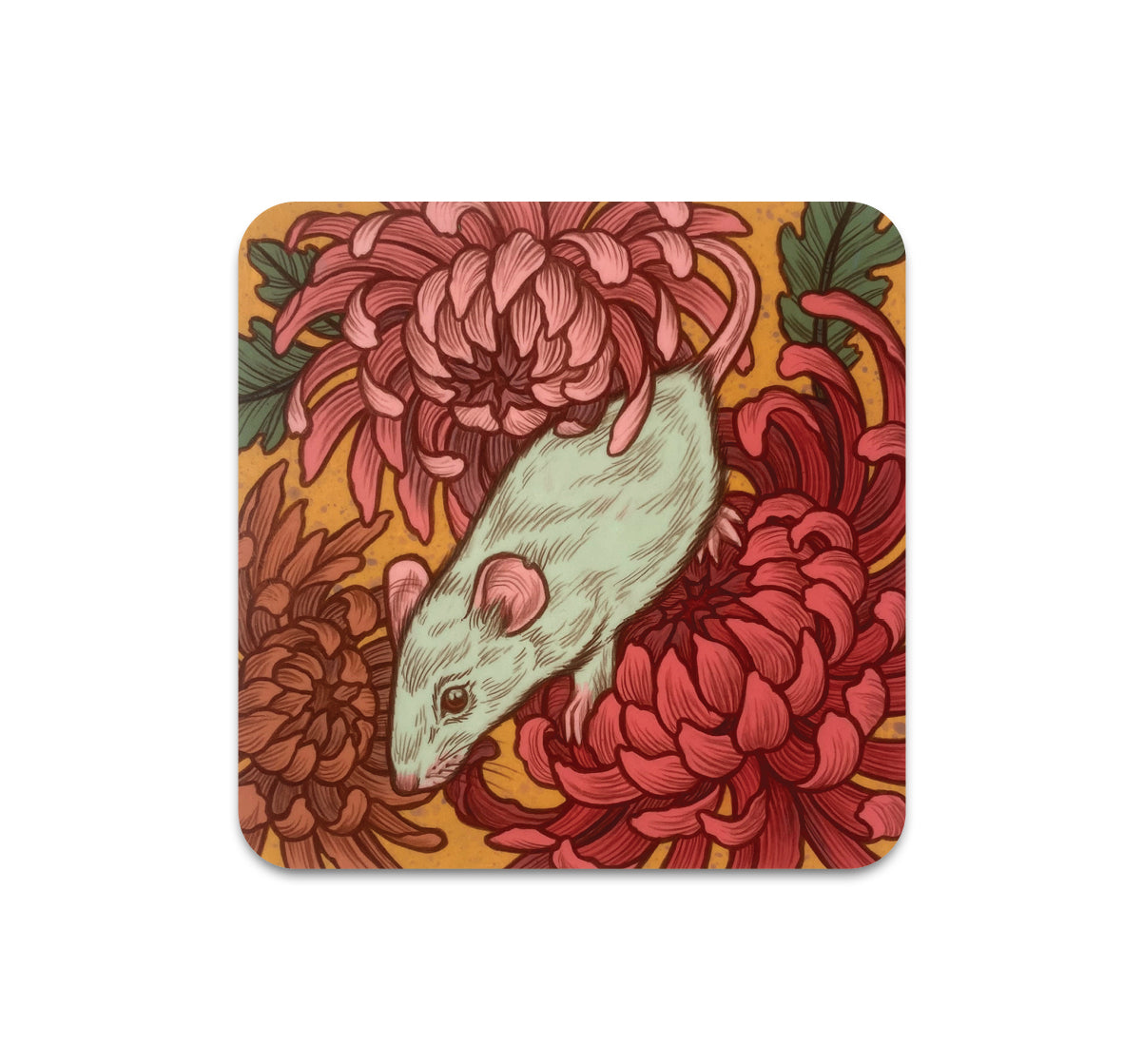 S10 Kate O'Hara - Coaster 3