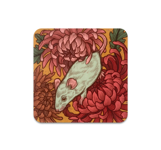 S10 Kate O'Hara - Coaster 3