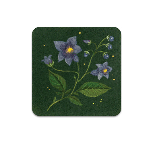 S10 Kelly Louise Judd - Coaster 3