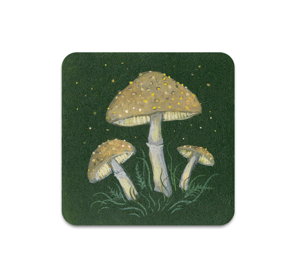 S10 Kelly Louise Judd - Coaster 6