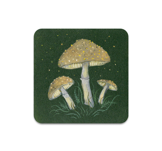 S10 Kelly Louise Judd - Coaster 6