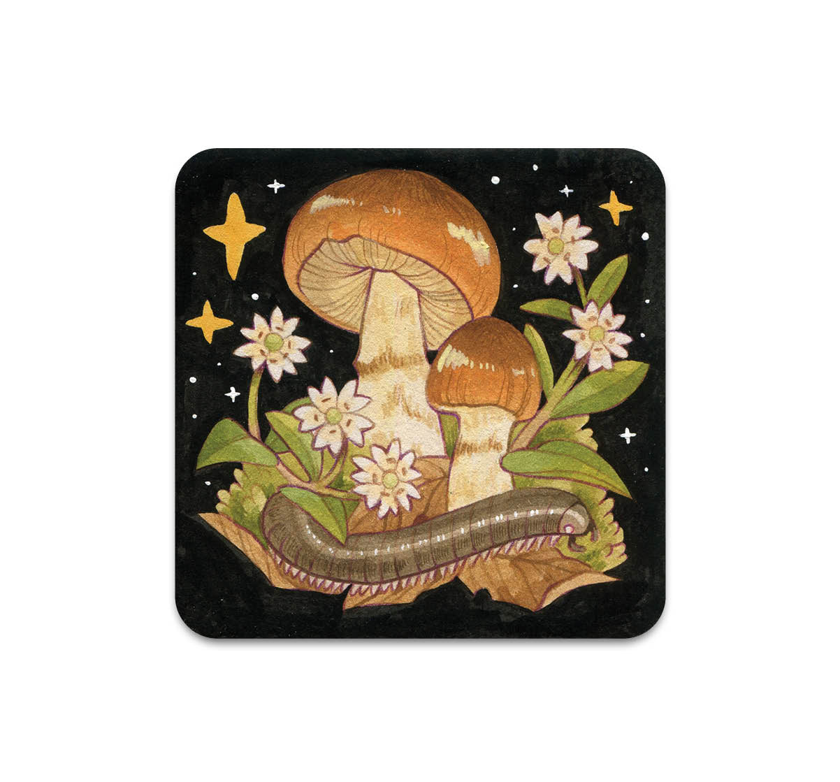 S10 Lianne Pflug - Coaster 3