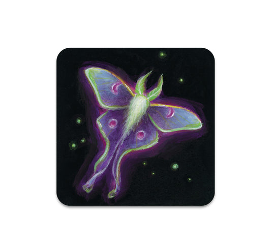 S10 Lindsey Martin Gardner - Coaster 1