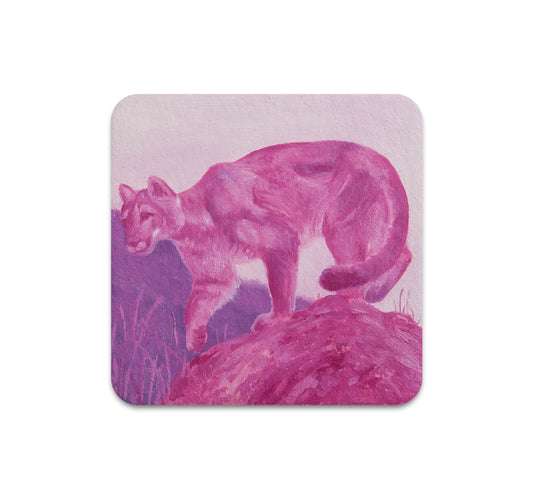 S10 Matthew Aceves - Coaster 3