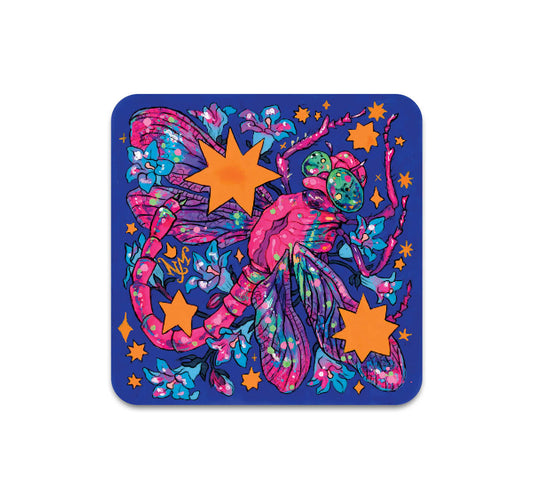 S10 Niky Motekallem - Coaster 2