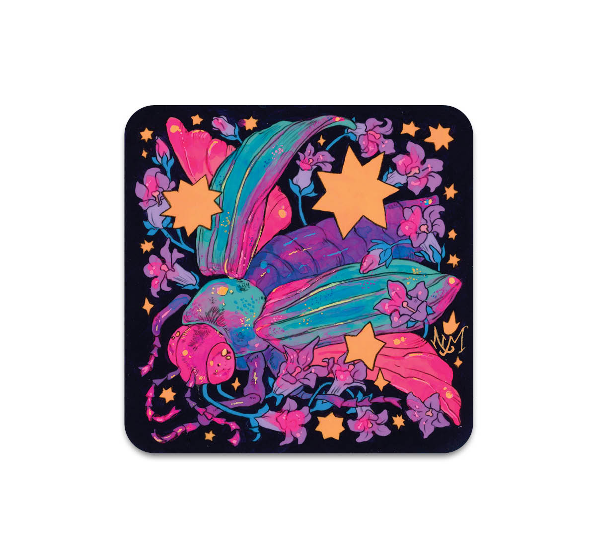 S10 Niky Motekallem - Coaster 4