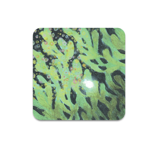 S10 Onenhillion - Coaster 3