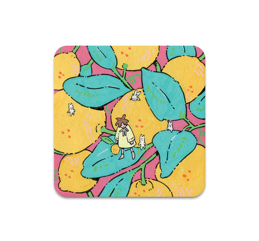 S10 Parakid - Coaster 2