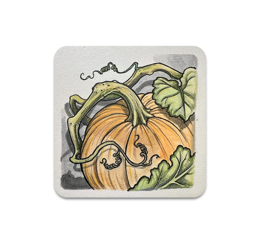 S10 Shawn Hebrank - Coaster 1