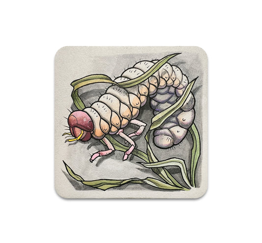 S10 Shawn Hebrank - Coaster 4