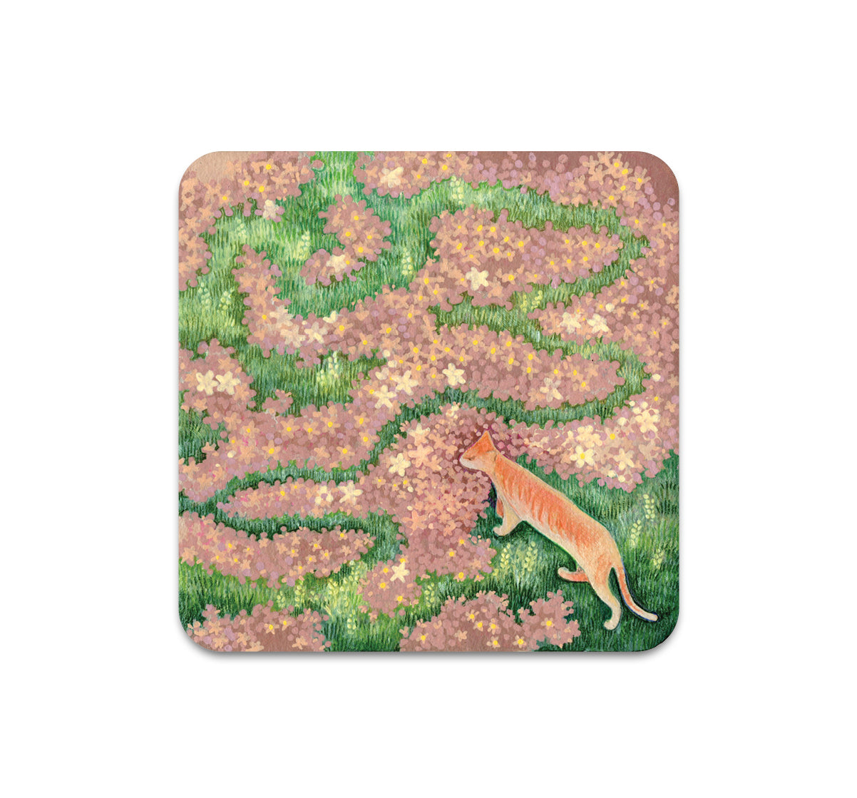 S10 Song Kang - Coaster 3