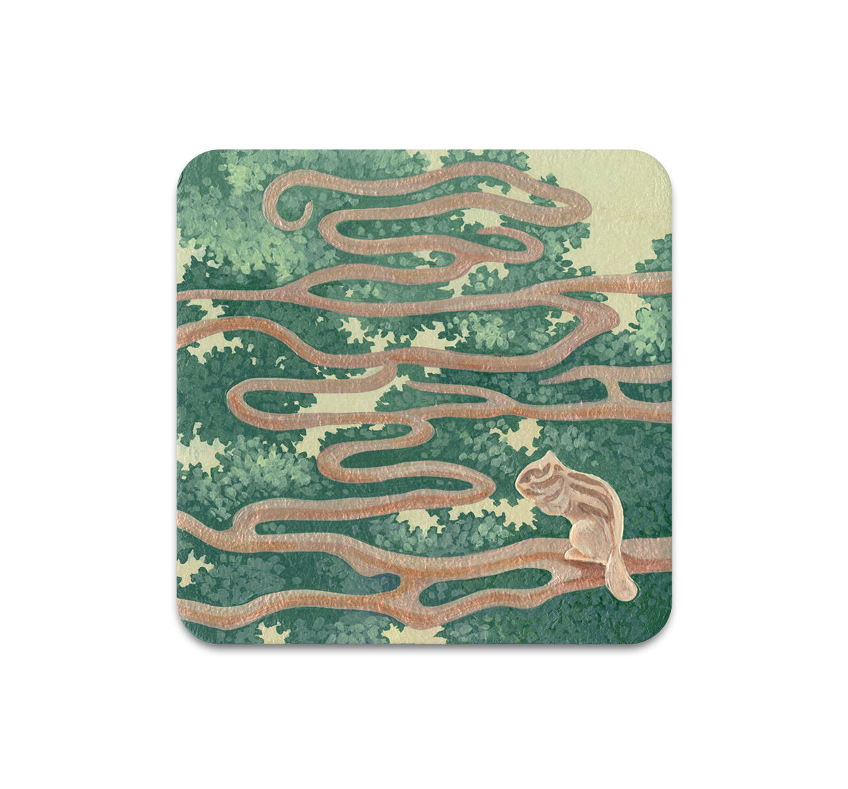 S10 Song Kang - Coaster 4