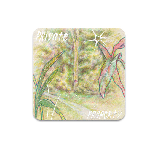 S10 Sophia Kiuchi - Coaster 2