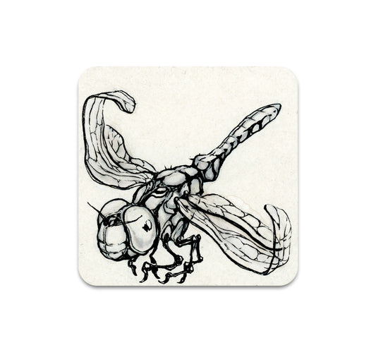 S10 Sorie Kim - Coaster 1