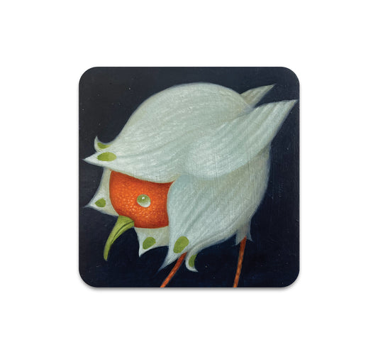 S10 Stephen Williams - Coaster 1