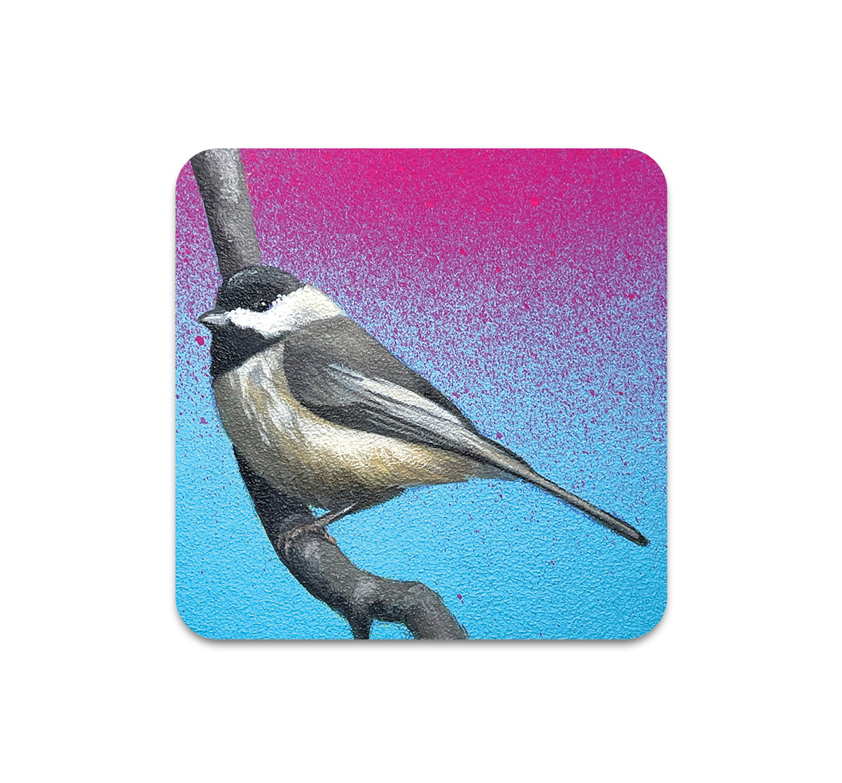 S10 Steve Martinez - Coaster 1