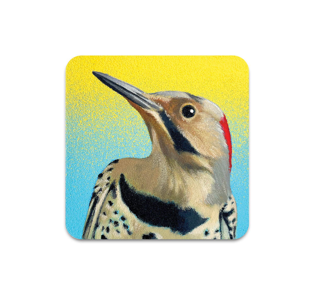 S10 Steve Martinez - Coaster 2