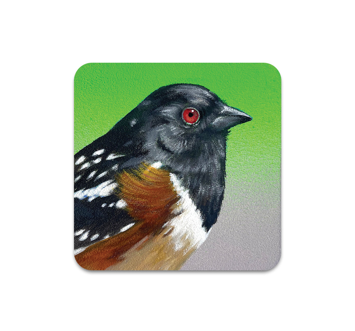 S10 Steve Martinez - Coaster 3