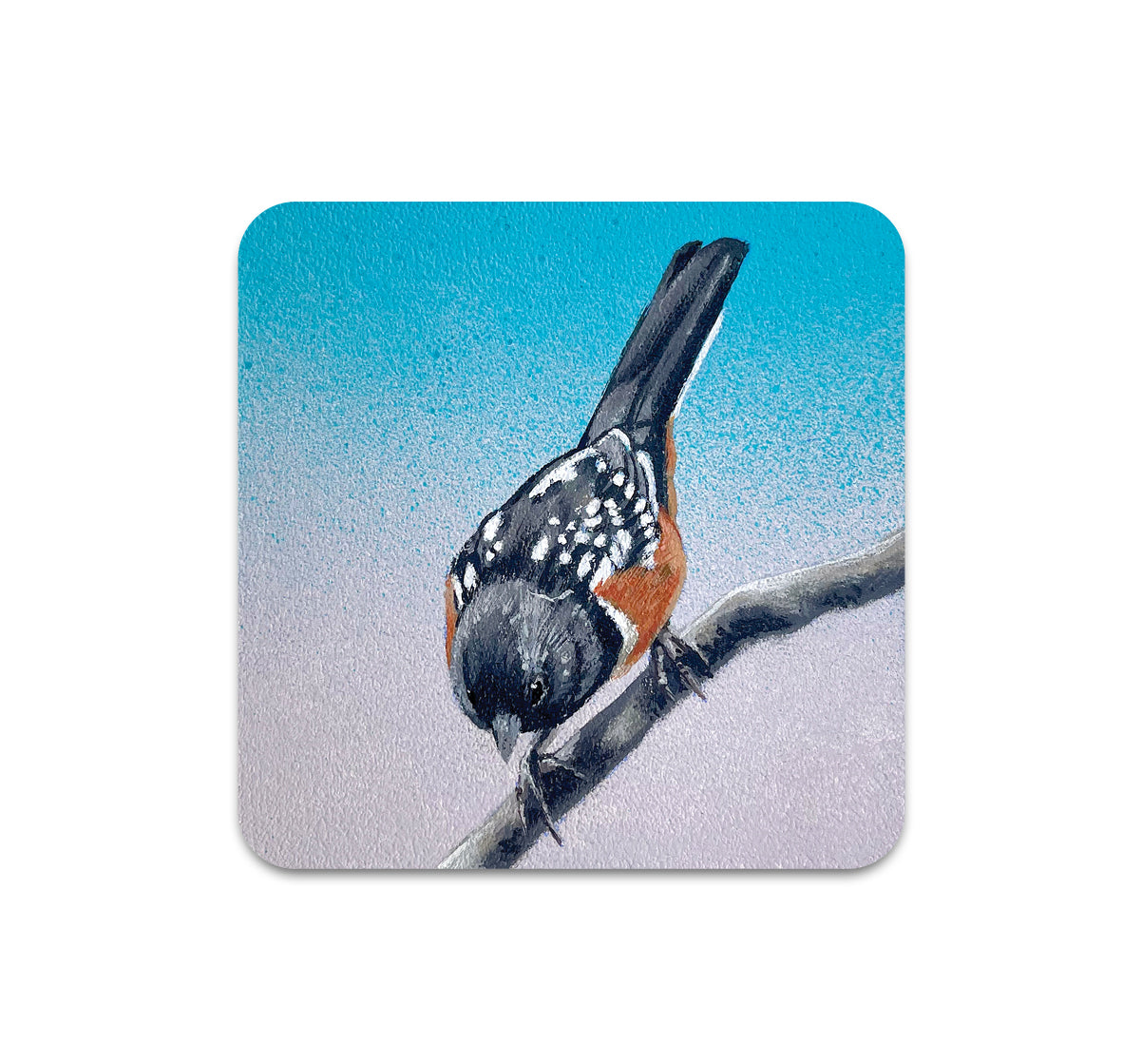 S10 Steve Martinez - Coaster 4