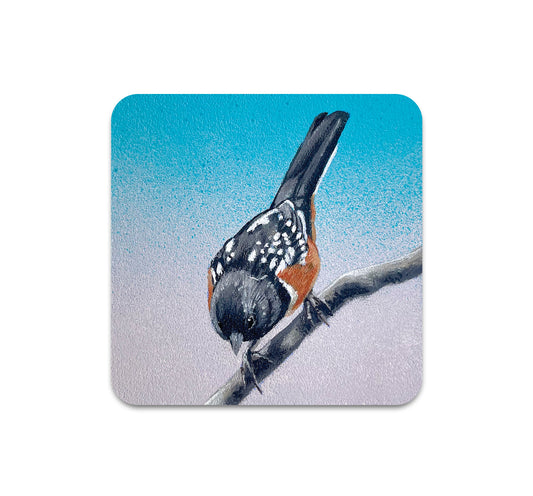 S10 Steve Martinez - Coaster 4