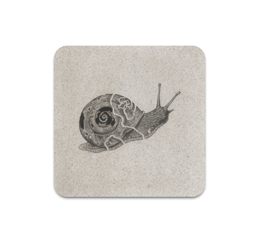 S10 Teagan White - Coaster 1