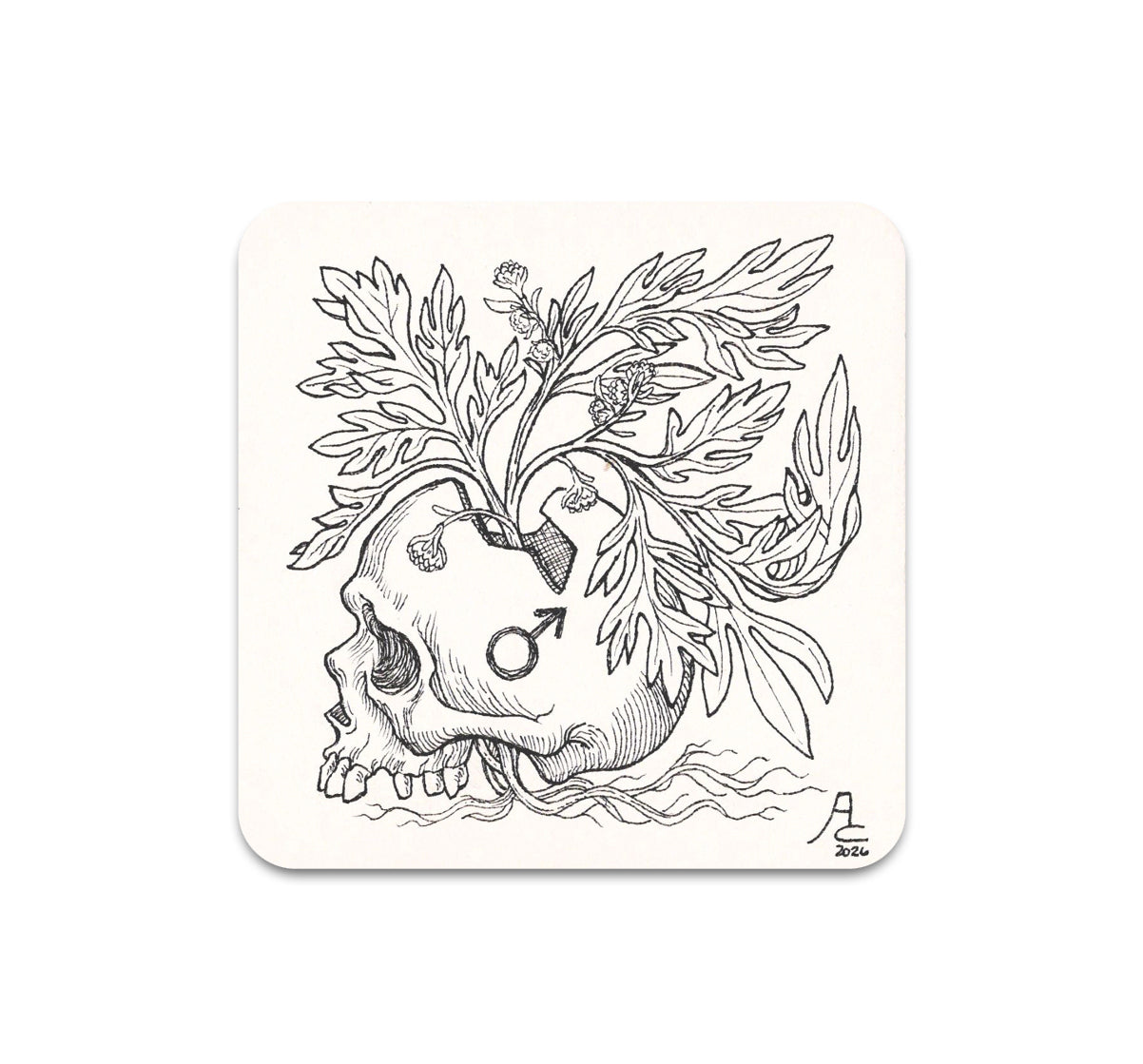 S11 Alex Cabal - Coaster 5