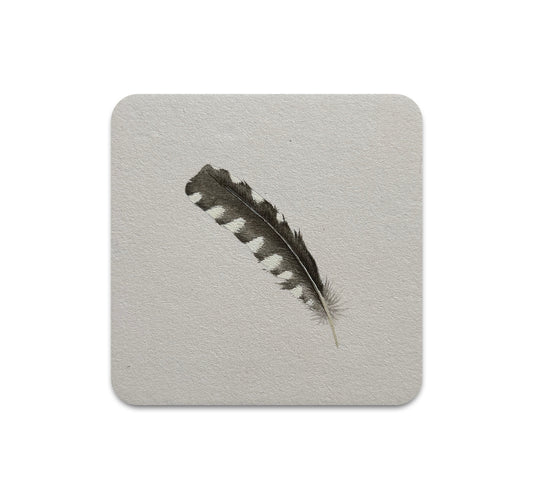 S11 Allison May Kiphuth - Coaster 1