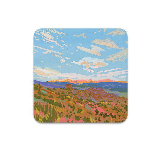 S11 Ariel Lee - Coaster 1
