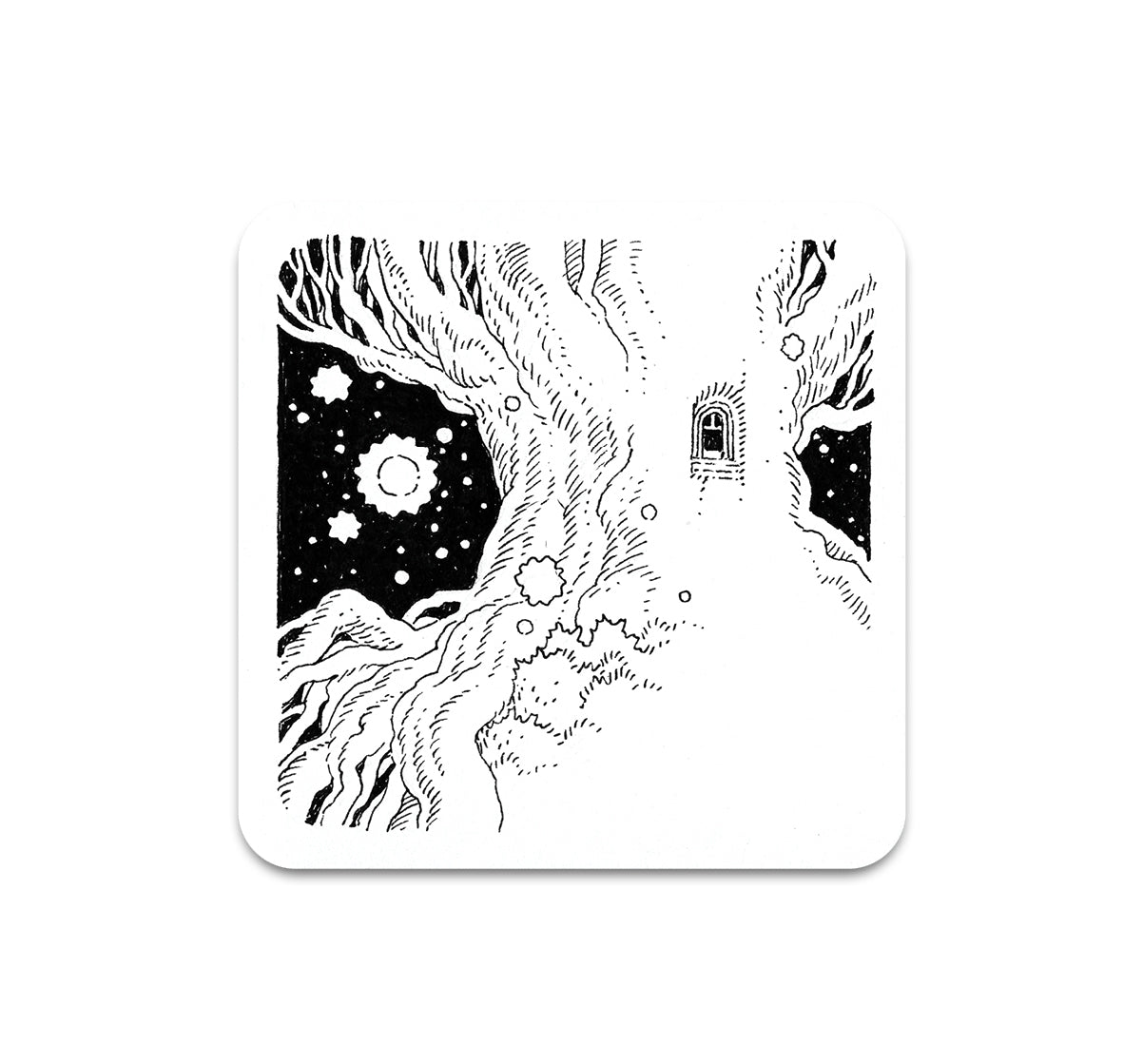 S11 Ben McEntee - Coaster 5